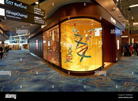 hermes singapore airport